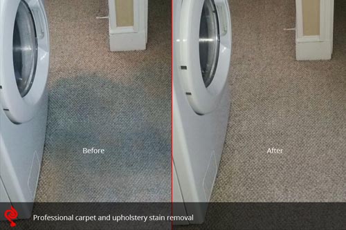 Professional Carpet & Upholstery Stain Removal