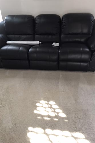 Leather Upholstery Cleaning