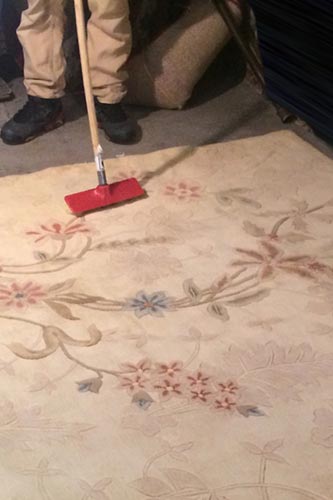 Delicate Rug Cleaning