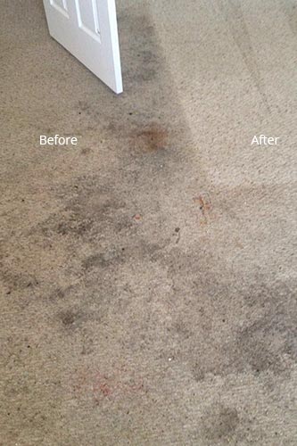 Dirty Bad Condition Carpet