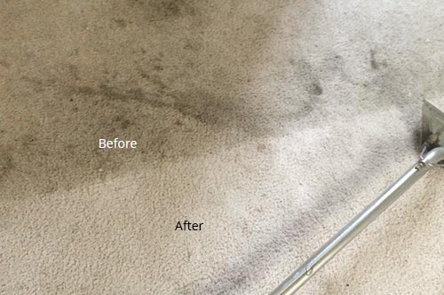 Dirty Bad Condition Carpet