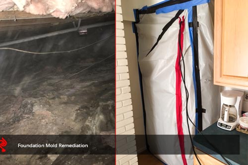 Foundation Mold Remediation