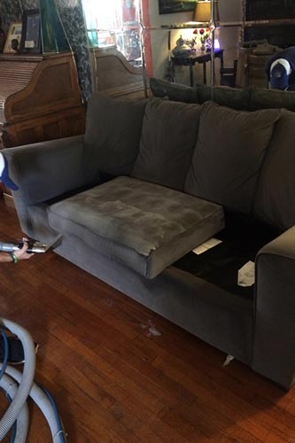 Professional Upholstery Cleaning